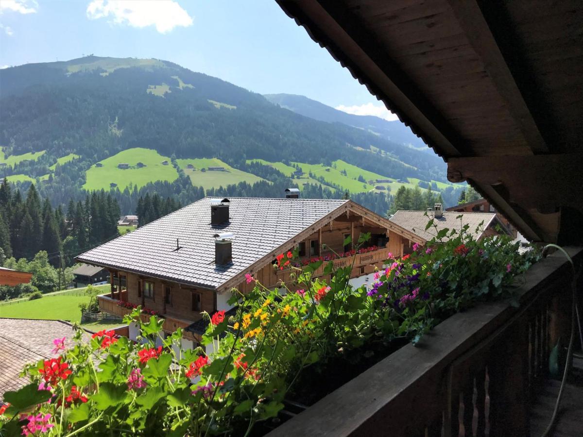 Apartment Elisabeth - Aph311 By Interhome Alpbach Luaran gambar